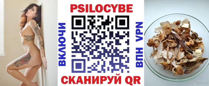 где продают наркотики  Мамоново  Псилоцибиновые грибы Psilocybine cubensis 